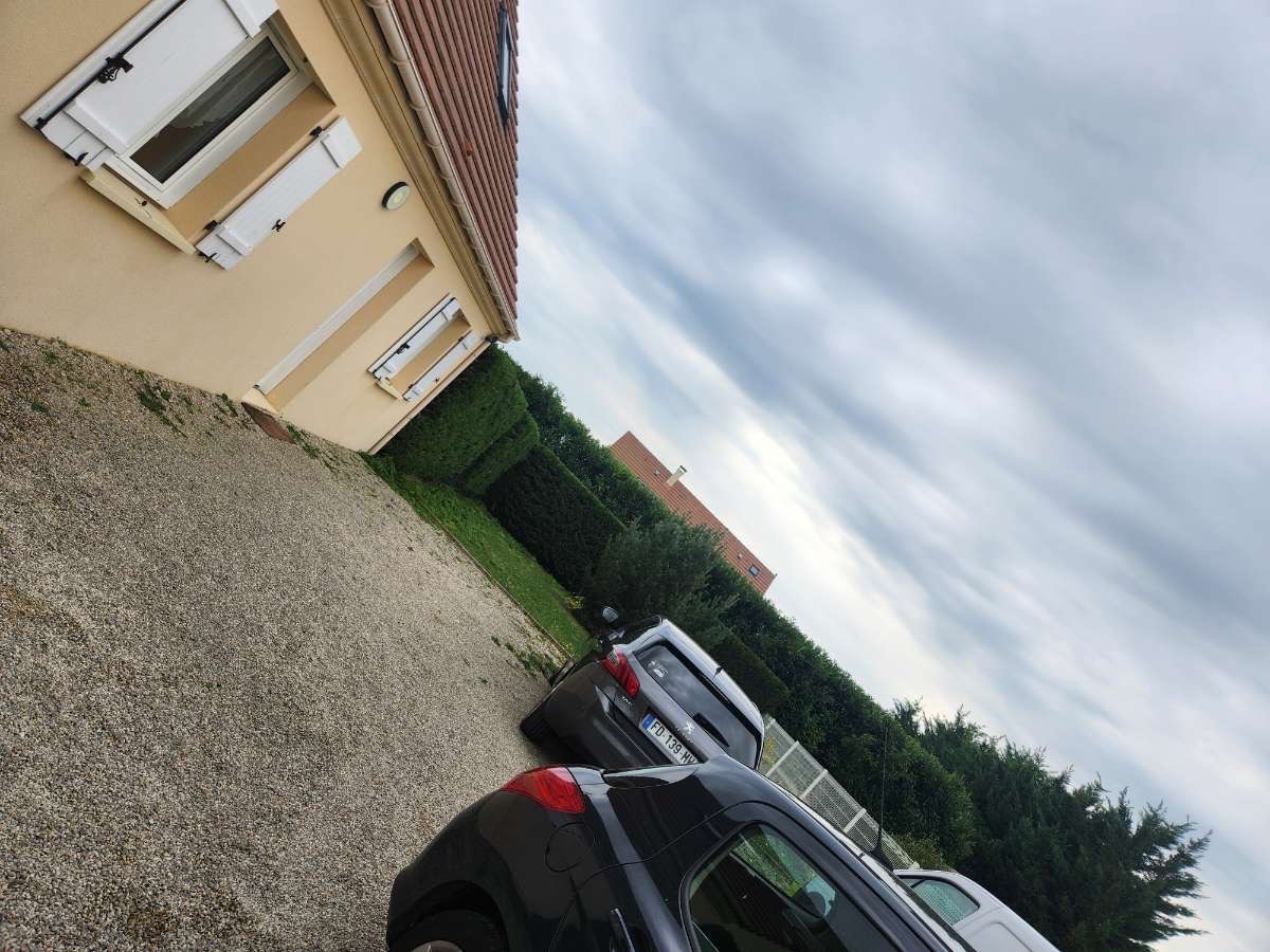 Haie verte parfaitement taillée devant une maison avec allée en gravier