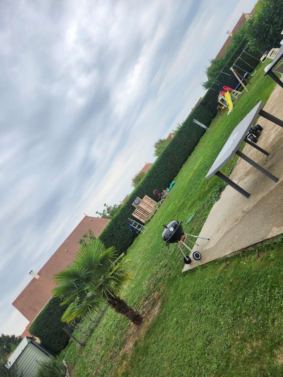 Vue panoramique d'un jardin avec pelouse, haies, palmier et barbecue