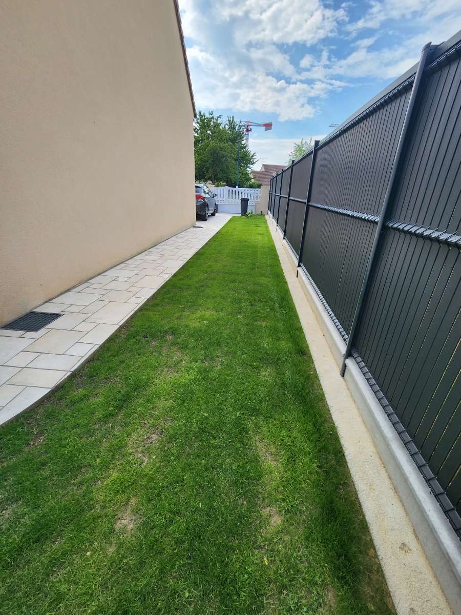 Bande de gazon parfaitement verte dans un passage latéral