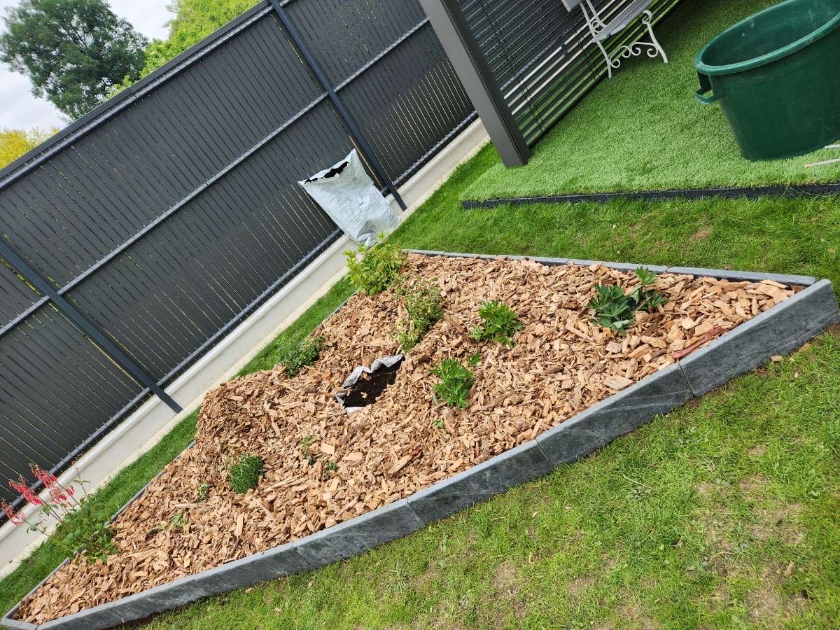 Gros plan sur un massif paillé avec bordure et jeunes arbustes