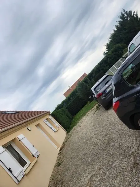 Haie de jardin taillée avec précision par un paysagiste