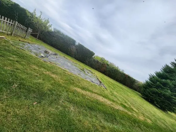 Pelouse entretenue avec bordure de haies dans un jardin résidentiel